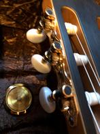 Beste Gitaar voor Expressieve of Flamenco Gitaristen, Ophalen, Zo goed als nieuw, Overige typen, Met koffer