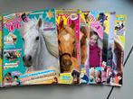 Paarden Penny Tijdschriften Collectie boek meisjes 1 gratis, Boeken, Ophalen of Verzenden, Gelezen, Sport en Vrije tijd