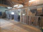 Per direct 2 ruime stallen vrij op privé stal.