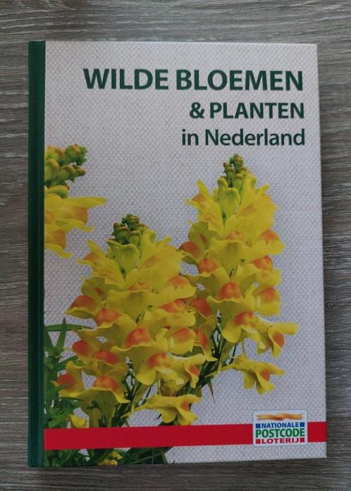 Postcodeloterij Wilde bloemen & planten 2024  Met veldgids, Boeken, Natuur, Zo goed als nieuw, Bloemen, Planten en Bomen, Ophalen of Verzenden