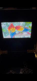 Bijzonder doosje met in deksel filmpje papagaaien met geluid, Antiek en Kunst, Ophalen of Verzenden