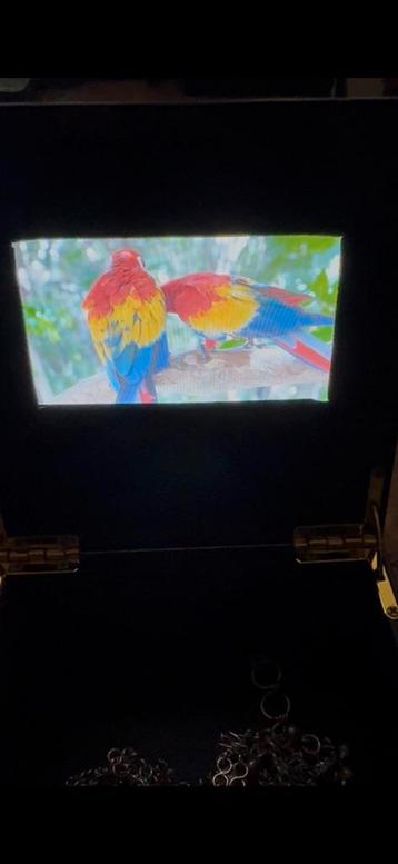 Bijzonder doosje met in deksel filmpje papagaaien met geluid beschikbaar voor biedingen