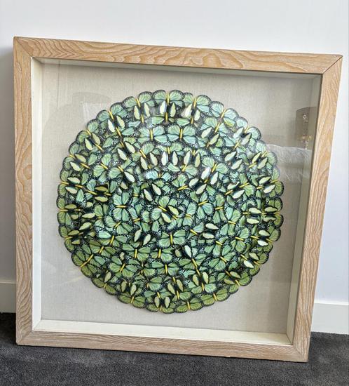 3D Vlinder Kunstobject, Huis en Inrichting, Woonaccessoires | Schilderijen, Tekeningen en Foto's, Gebruikt, Overige typen, 75 cm of meer
