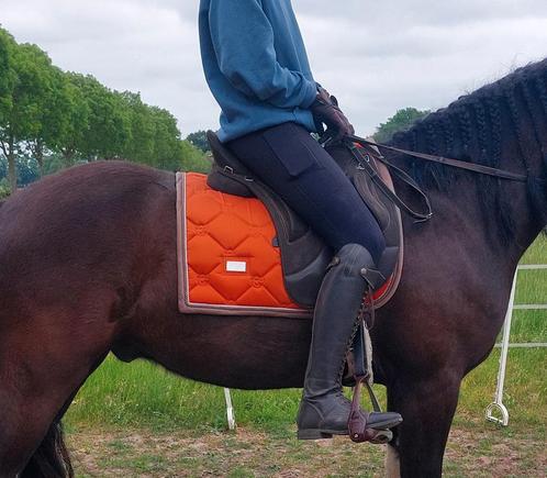 Equestrian stockholm Brick orange!, Dieren en Toebehoren, Paarden en Pony's | Dekens en Dekjes, Zo goed als nieuw, Ophalen of Verzenden