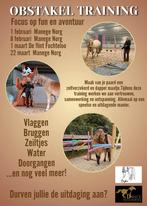 Obstakeltraining, Ophalen of Verzenden, Dressuur