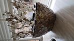 Mother of pearl vaas schelpenvaas, Tuin en Terras, Minder dan 3 m³, Ophalen