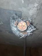 3x6 mm2 kabel 100 meter en YMVK-As DCA 0,6/1KV 4x16 + 4x2,5, Ophalen, Draka, Info@draka.nl, Nijmegen