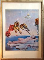 Poster Dali, Rechthoekig Staand, Met lijst, Ophalen of Verzenden, Zo goed als nieuw