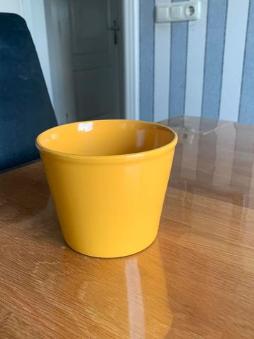 Oker geel bloempotje beschikbaar voor biedingen