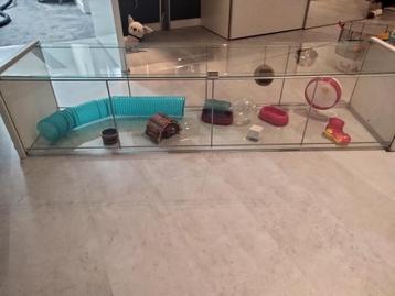 hamsterkooi beschikbaar voor biedingen