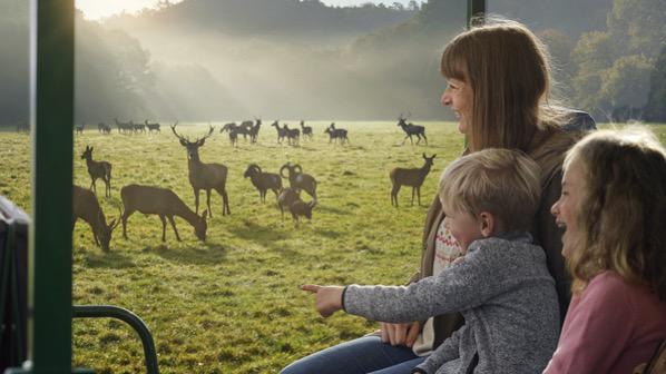 Grotten van Han tweede kaartje gratis, Tickets en Kaartjes, Kortingen en Cadeaubonnen, Eén persoon, Overige typen, Overige soorten