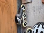 Skeelers grote wielen carbon schoen niet vorm baar, Contacten en Berichten, Sport en Hobby oproepen