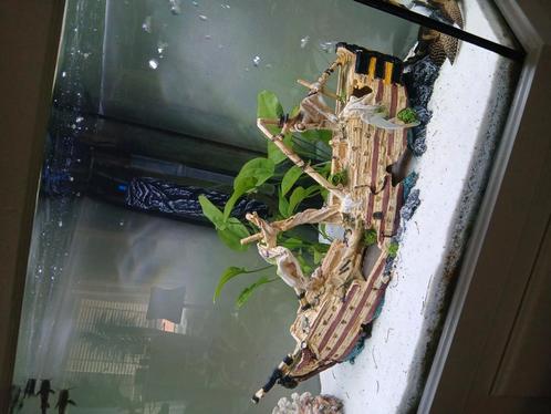 Aquarium schip boot, Dieren en Toebehoren, Vissen | Aquaria en Toebehoren, Zo goed als nieuw, Ophalen of Verzenden