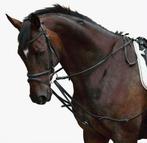 Pfiff driehoeksteugel, Ophalen of Verzenden, Nieuw, Overige soorten