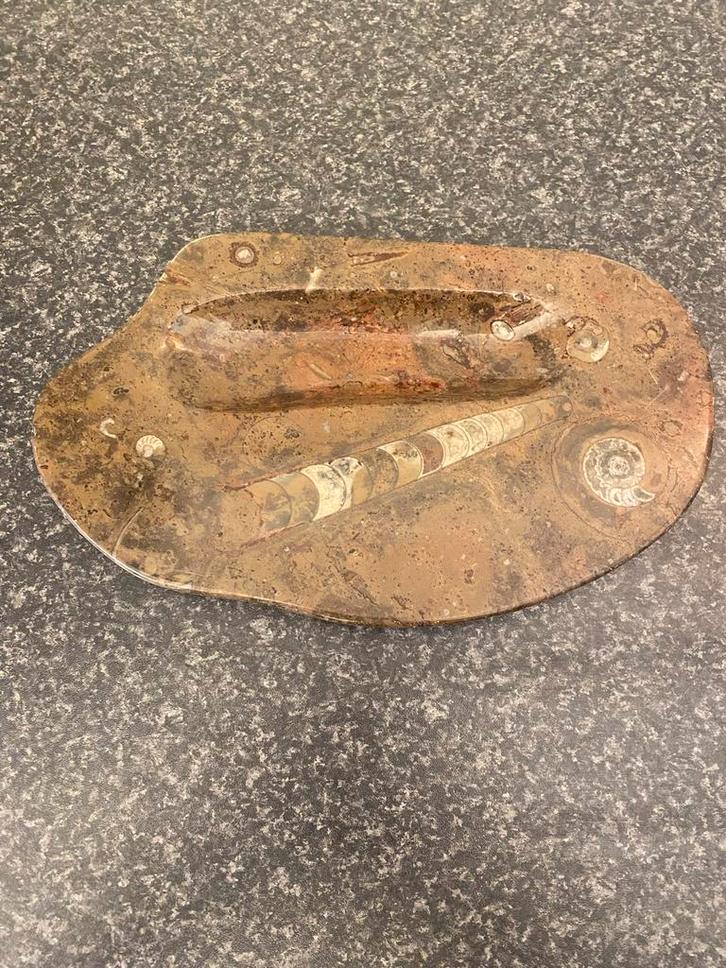 Antiek Inktstel Gefossiliseerd Marmer, Antiek en Kunst, Curiosa en Brocante, Ophalen of Verzenden