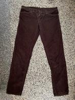 Dsquared2 Dsquared corduroy broek chino jeans, Maat 48/50 (M), Ophalen of Verzenden, Zo goed als nieuw, Dsquared2
