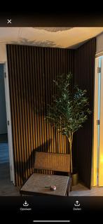 olijfboom, Huis en Inrichting, Ophalen