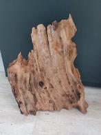 decoratie hout voor aquarium, Ophalen of Verzenden, Gebruikt, Plant(en), Steen of Hout