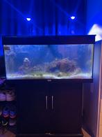 Volledige zoutwater aquarium bundel nieuwprijs €1400,-, Dieren en Toebehoren, Vissen | Aquaria en Toebehoren, Ophalen, Gebruikt