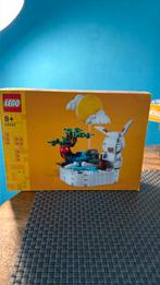 Lego 40643 Lunar New Year Ice Festival, Kinderen en Baby's, Speelgoed | Duplo en Lego, Ophalen of Verzenden, Nieuw, Complete set