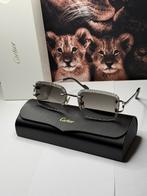 Cartier zonnebril Diamond cut Grey Silver, Ophalen of Verzenden, Nieuw, Overige merken