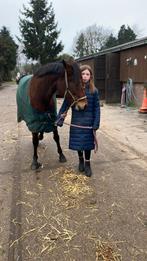 Verzorg pony gezocht, Ophalen of Verzenden