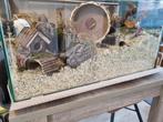 Volglas aquarium 80x40x40, Dieren en Toebehoren, Kooi, Nieuw, Hamster, 75 tot 110 cm