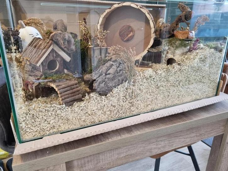 Volglas aquarium 80x40x40, Dieren en Toebehoren, Knaagdieren en Konijnen | Hokken en Kooien, Nieuw, Kooi, Minder dan 60 cm, 75 tot 110 cm