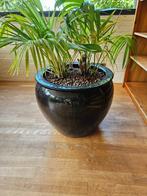 plantenpot, Ophalen, Gebruikt, Rond, Tuin