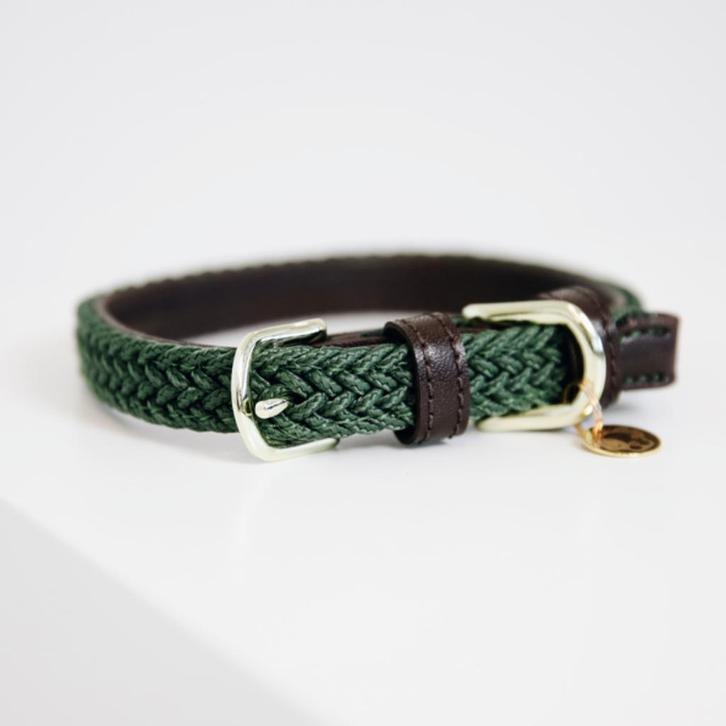 KENTUCKY Gevlochten Halsband Groen L Nek 55-62 cm KOOPJE!!!, Dieren en Toebehoren, Hondenhalsbanden en Penningen, Nieuw, Ophalen of Verzenden