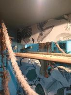 Goed tehuis gezocht voor deze parkiet ., Dieren en Toebehoren, Mannelijk