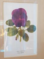 Mooie oude ingelijste prent uit Engeland met een viool., Antiek en Kunst, Ophalen of Verzenden