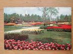 Ansichtkaart Flower Holland Keukenhof Lisse 4643, Verzamelen, Ansichtkaarten | Nederland, Ophalen of Verzenden, Zuid-Holland
