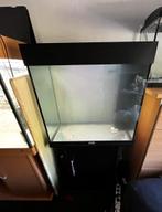 Juwel Lido 120 compleet, Ophalen, Zo goed als nieuw, Leeg aquarium