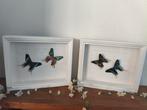 Opgezette Vlinders in Lijst, Antiek en Kunst, Ophalen of Verzenden