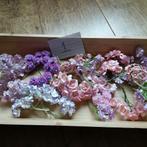 Paperflowers, bloemen voor oa kaarten maken 1, Hobby en Vrije tijd, Ophalen of Verzenden, Nieuw, Overige thema's, Overige typen