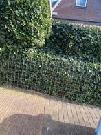 Gaasnetten / gaas netten  / tuin gaas / beton gaas te koop, Ophalen, Nieuw, Minder dan 10 meter, Gaas