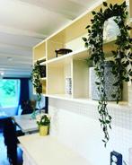 Tiny house Arnhem te huur