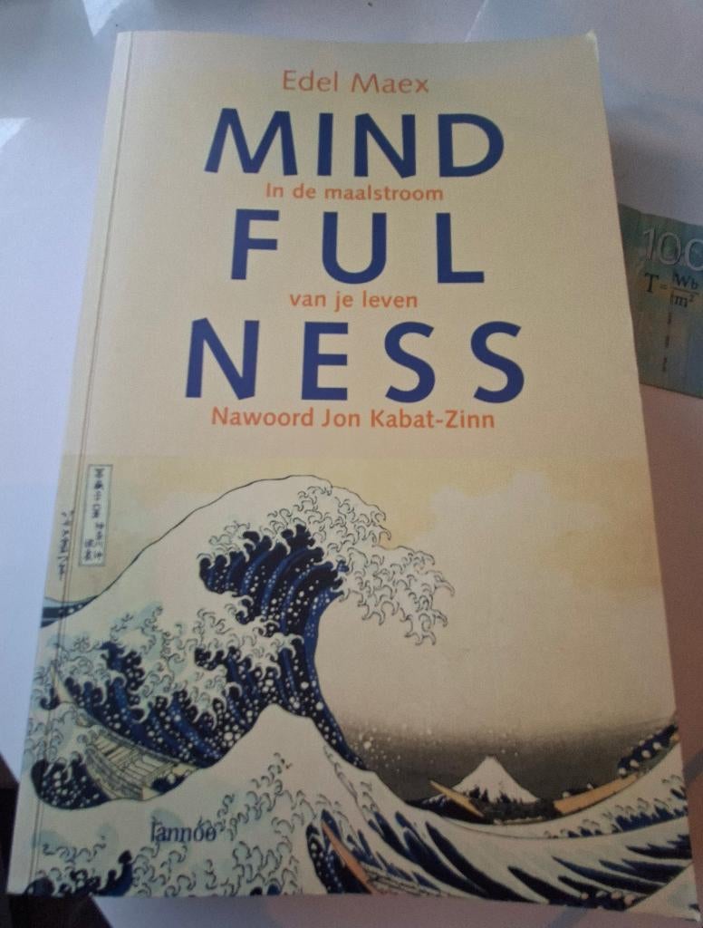 Mindfulness- Edel Maex (isbn:9789020965162), Gelezen, Spiritualiteit algemeen, Overige typen, Ophalen of Verzenden