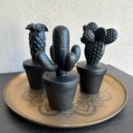 Drie zwarte cactussen, Huis en Inrichting, Zo goed als nieuw, Ophalen