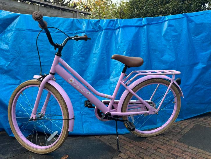 Leuke roze meisjesfiets – 22 inch (merk Liberty), Fietsen en Brommers, Fietsen | Meisjes, Zo goed als nieuw, 18 inch, Ophalen of Verzenden