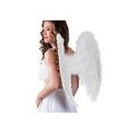 Carnaval vleugels engelen groot en klein, Ophalen, Zo goed als nieuw, Carnaval, Accessoires