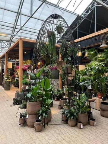 Mega grote cactus  van metaal, deco object, blikvanger beschikbaar voor biedingen
