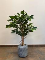 Kunstplant Ficus - Nieuwstaat - 100cm, Huis en Inrichting, Kamerplanten, Ophalen, Ficus, 100 tot 150 cm, Halfschaduw