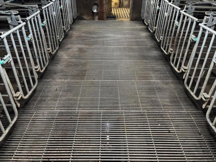 Driekant leenders roosters [744], Dieren en Toebehoren, Stalling en Weidegang