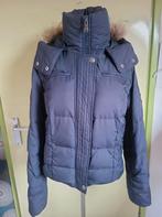 Winterjas van McGregor maat 38, Maat 38/40 (M), McGregor, Zo goed als nieuw, Verzenden