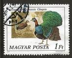 Hongarije 8, kalkoen, Verzenden, Gestempeld