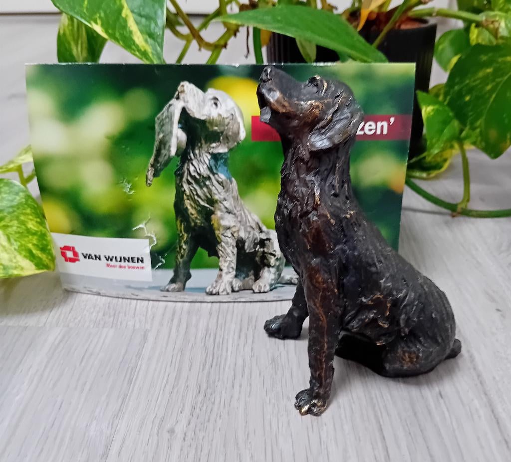 verbronsd sculptuur "Geslaagd" Astrid Veldhuyzen-Koppen, Antiek en Kunst, Ophalen of Verzenden