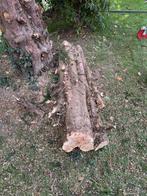 Taxus hout, Minder dan 3 m³, Ophalen, Overige houtsoorten, Stammen