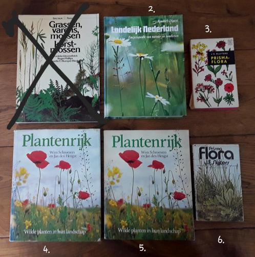 Boeken bloemen, wilde planten, planten, landschap, natuur,, Boeken, Natuur, Gelezen, Bloemen, Planten en Bomen, Ophalen of Verzenden